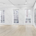 Michael Riedel at David Zwirner
